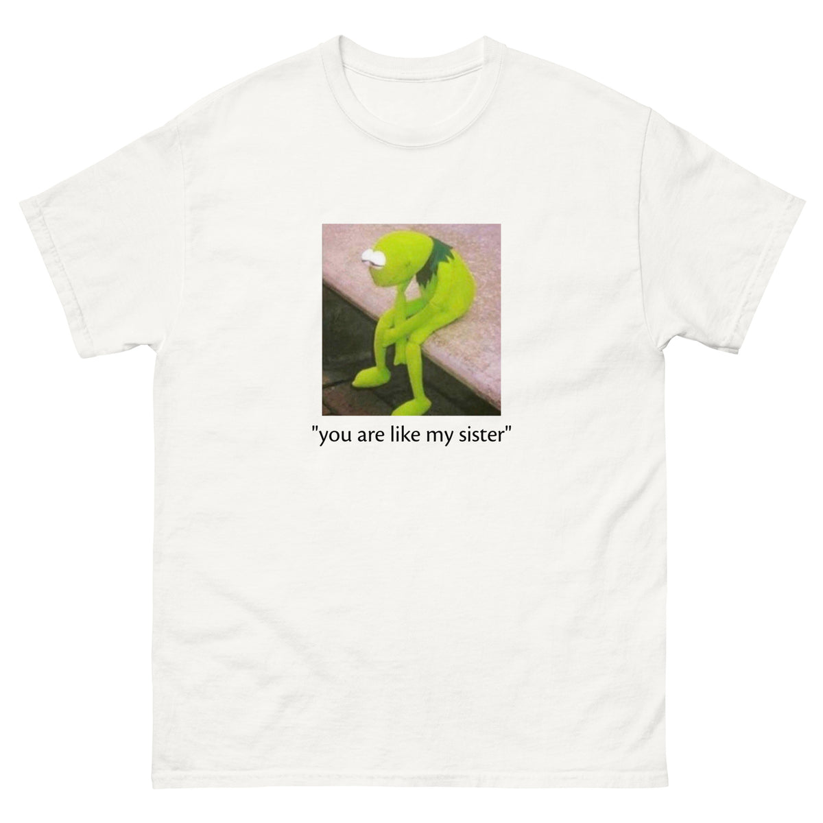 T-shirt Friendzone my sister blanc, face avant — Wackytee
